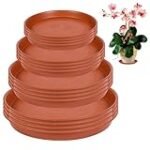 Análisis y comparativa de los mejores platos para plantas: Descubre cuál es el adecuado para mantener tu jardín limpio e higiénico
