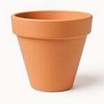 Comparativa: Los mejores productos de limpieza para macetas de terracota