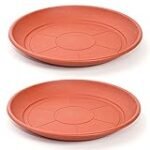 Análisis y comparativa de los mejores productos de limpieza e higiene para plato maceta de 70 cm: ¡Mantén tus plantas impecables!