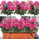 Tres productos de limpieza que mantendrán tus flores de primavera para macetas impecables: ¡Descúbrelos aquí!