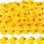 Análisis y comparativa: ¿Cuál es el mejor pato de ducha para tu baño?