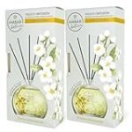 Análisis y comparativa de los mejores ambientadores mikado perfumados: ¡Aromas irresistibles para tu hogar!