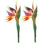 Comparativa: CH Men Birds of Paradise, el toque exótico en productos de limpieza e higiene