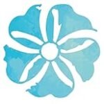 Análisis y comparativa: Descubre el encanto de Scented Garden Country Rose en productos de limpieza e higiene