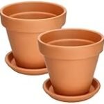 Análisis y comparativa: Los mejores maceteros de terracota para mantener la higiene en tu hogar