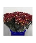 Descubre cómo las flores de Montecarmelo realzan la efectividad de los productos de limpieza e higiene