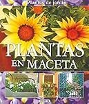 Plantar en macetas: la importancia de la limpieza e higiene en el cuidado de tus plantas